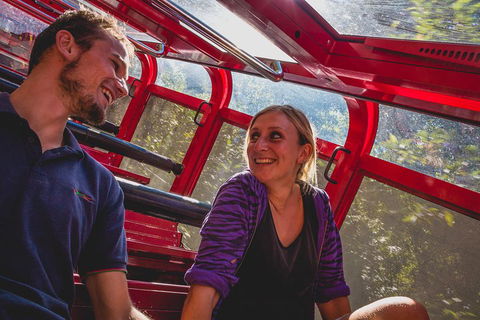 Blue Mountains Hop-on Hop-off Tour With Optional Scenic World Rides - Accommodation Perth 5