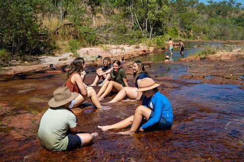 Litchfield National Park Waterfalls And Wildlife Tour From Darwin - Accommodation Perth 1
