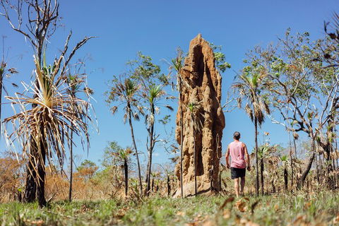 Litchfield National Park Waterfalls And Wildlife Tour From Darwin - Accommodation Perth 4