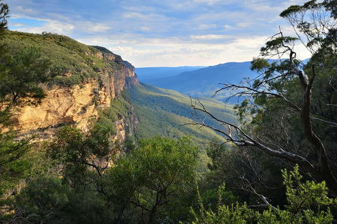 Blue Mountains Day Tour With Wildlife At Sunset From Sydney - Accommodation Perth 5