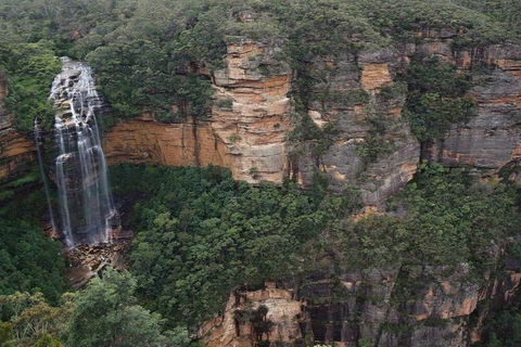 Blue Mountains Private Tour With Kangaroos & Koala Encounter - Accommodation Perth 2