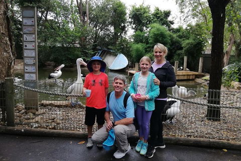 Blue Mountains Private Tour With Kangaroos & Koala Encounter - Accommodation Perth 4