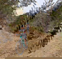 Mount Lofty Descent Bike Tour from Adelaide - Accommodation Perth
