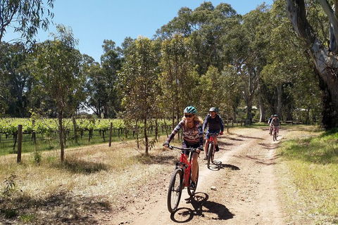 McLaren Vale Wine Tour By Bike - Accommodation Perth 1