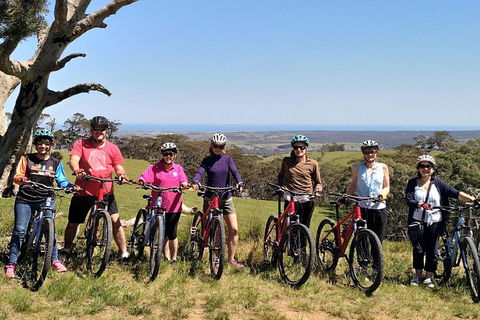 McLaren Vale Wine Tour By Bike - Accommodation Perth 2
