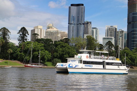 Lone Pine Koala Sanctuary Admission With Brisbane River Cruise - Accommodation Perth 2