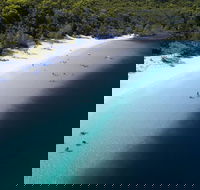 All-Inclusive Fraser Island Day Tour - Accommodation Perth