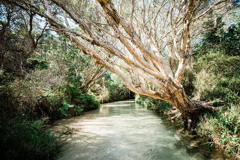 3-Day Fraser Island Resort Package - Accommodation Perth 5