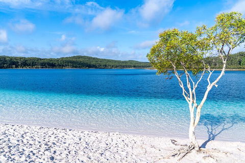 Lake McKenzie Full-Day Tour With Lunch From Hervey Bay - Accommodation Perth 1