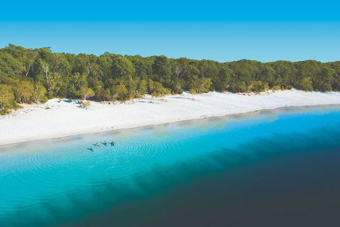 Lake McKenzie Full-Day Tour With Lunch From Hervey Bay - Accommodation Perth 4