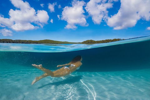 Lake McKenzie Full-Day Tour With Lunch From Hervey Bay - Accommodation Perth 5