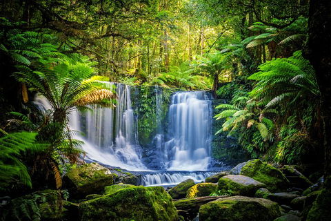 Day Tour In Mt. Field, Mt. Wellington, Bonorong Wildlife Sanctuary And Richmond - Accommodation Perth 0