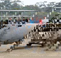 Off-Road Safari at Werribee Open Range Zoo - Accommodation Perth