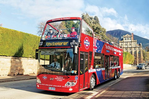 Hobart Hop-On Hop-Off Bus & Kunanyi/Mt Wellington Tour - Accommodation Perth 4