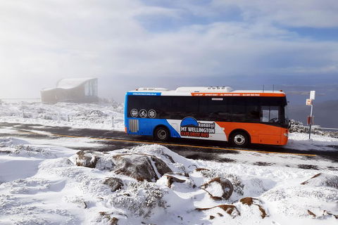 Hobart Hop-On Hop-Off Bus & Kunanyi/Mt Wellington Tour - Accommodation Perth 5