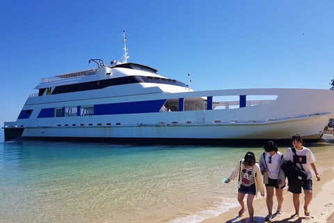 Moreton Island Day Trip (Kayak, Snorkel & Sandboard) Frm Brisbane Or Gold Coast - Accommodation Perth 0