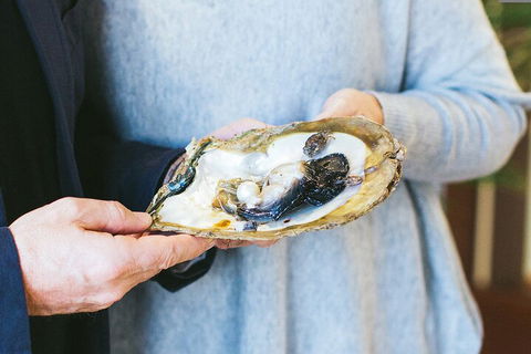 Half-Day Willie Creek Pearl Farm Tour With Helicopter Flight - Accommodation Perth 3