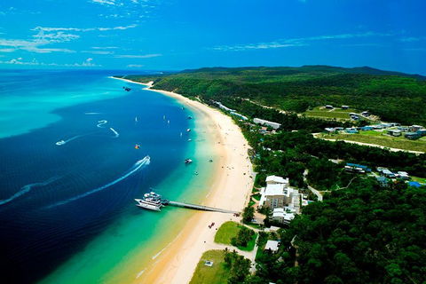 Tangalooma Island Resort Whale Watching Day Cruise - Accommodation Perth 2
