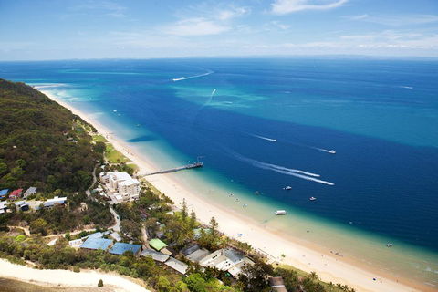 Tangalooma Island Resort Whale Watching Day Cruise - Accommodation Perth 3