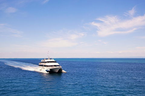 Tangalooma Island Resort Whale Watching Day Cruise - Accommodation Perth 5