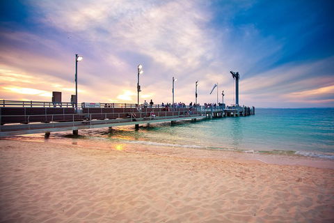 Tangalooma Island Resort Whale Watching Day Cruise With Dolphin Viewing - Accommodation Perth 3
