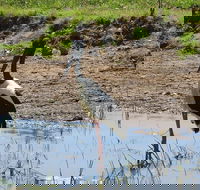 Darwin to Kakadu Day Trip by Air Including Yellow Water Cruise - Accommodation Perth