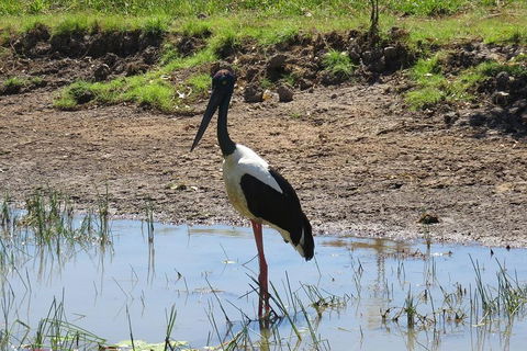 Darwin To Kakadu Day Trip By Air Including Yellow Water Cruise - Accommodation Perth 0