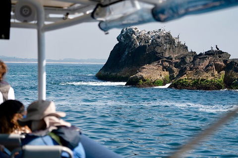 Julian Rocks Byron Bay Cruise - Accommodation Perth 2