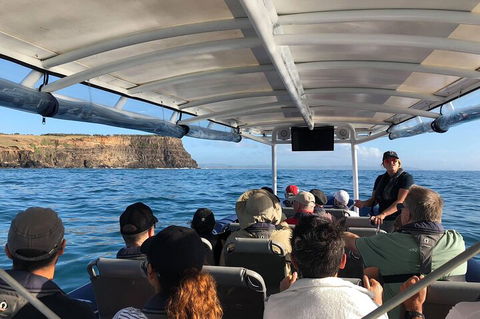 Julian Rocks Byron Bay Cruise - Accommodation Perth 4