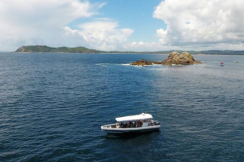 Julian Rocks Byron Bay Cruise - Accommodation Perth 5