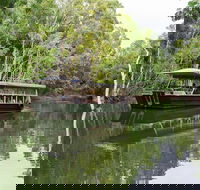 Hartley's Crocodile Adventures Breakfast with the Koalas - Accommodation Perth
