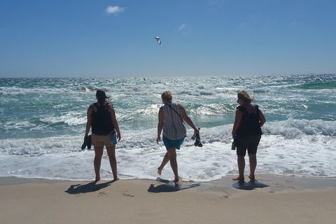 Very Best Of Perth Tour - Wildlife Park & City Highlights Tour - Perth Resorts 5