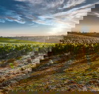 Perth to Margaret River Wine Tour - 2 Day Premium Boutique Wine Tour Experience - Accommodation Perth