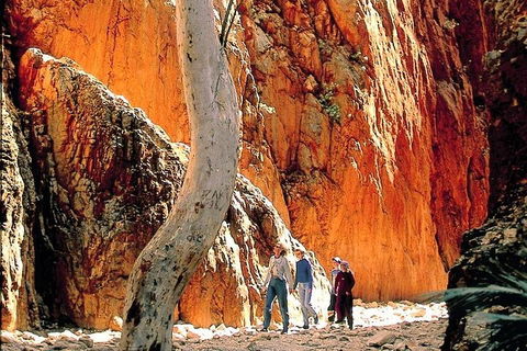 West MacDonnell Ranges Day Trip From Alice Springs - Accommodation Perth 3
