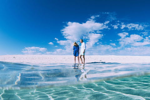 4-Day Coastal Loop Via Monkey Mia Wild Dolphins Kalbarri Pinnacles Perth Return - Accommodation Perth 0