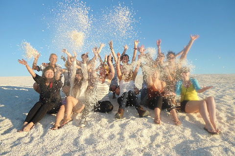 4-Day Coastal Loop Via Monkey Mia Wild Dolphins Kalbarri Pinnacles Perth Return - Accommodation Perth 1