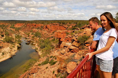 4-Day Coastal Loop Via Monkey Mia Wild Dolphins Kalbarri Pinnacles Perth Return - Accommodation Perth 3