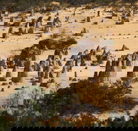 Pinnacles Sunset Dinner and Stargazing Experience a Small Group Tour - Accommodation Perth