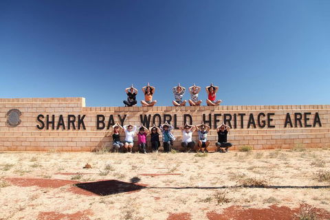 6-Day Coral Coaster From Perth To Exmouth One-Way Via Monkey Mia Ningaloo Reef - Accommodation Perth 4