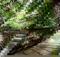 12 Apostles Eco-Friendly Great Ocean Road Iconic Adventure from Melbourne - Accommodation Perth