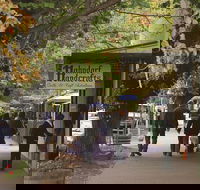 Adelaide Highlights Hahndorf  McLaren Vale Wine Tasting and Sightseeing Tour - Accommodation Perth