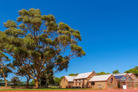 McLaren Vale And Glenelg Wine Tasting And Sightseeing (Half-day Afternoon) - Accommodation Perth 5