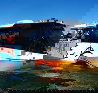 Paradise Jet Boating and Aquaduck Combo - Accommodation Perth