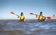 Kangaroo Island Self-Guided Kayaking On The Harriet River - thumb 2
