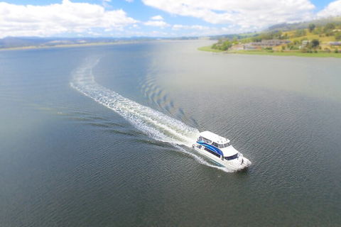 2.5 Hour Afternoon Discovery Cruise Including Cataract Gorge Departs At 1: 30 Pm - Accommodation Perth 0