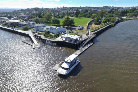 2.5 Hour Afternoon Discovery Cruise Including Cataract Gorge Departs At 1: 30 Pm - Accommodation Perth 3