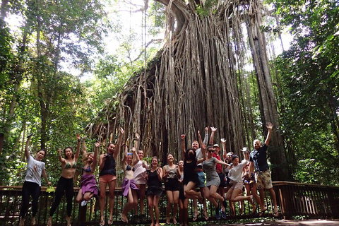 Atherton Tablelands Waterfalls Tour From Cairns - Accommodation Perth 5