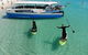 Whitsunday Bullet Day Trip - Whitehaven Beach And Snorkelling - thumb 4