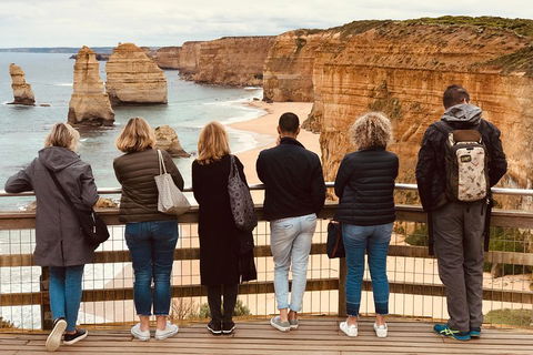 Great Ocean Road Reverse Itinerary PREMIUM Tour - Accommodation Perth 5