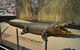 Explore Darwin City Sights Including Key Attractions - thumb 2